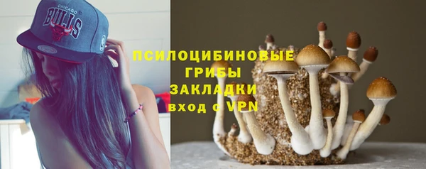 mix Алексин